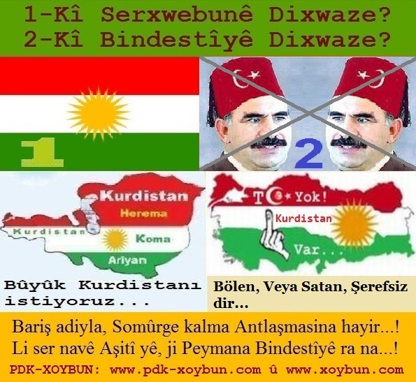 Nexshe_Kurdistana_Mezin_u_Nexshe_Tirkiya_Mezin_3.jpg