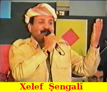 Xelef_Shengali_1.jpg