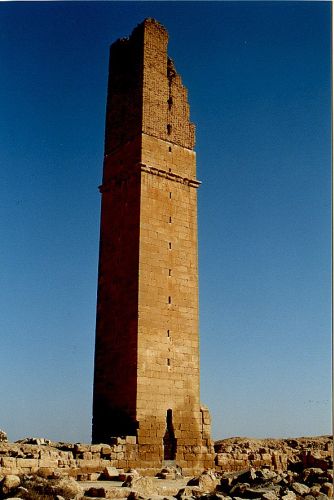 Harran_University_1.jpg