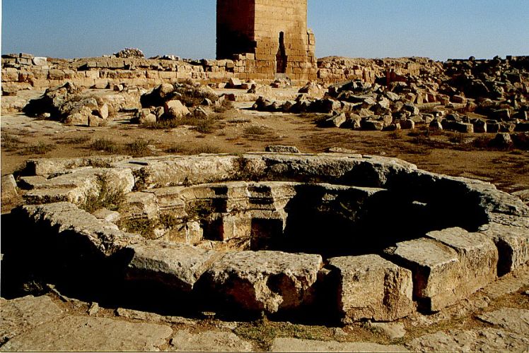 Harran_University_2.jpg