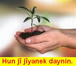 Jiyan_115.jpg