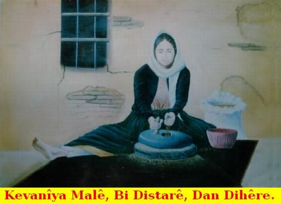 Kevaniya_Male_02.jpg