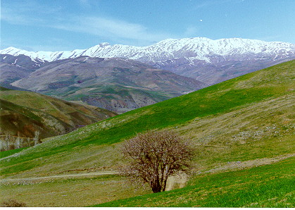 Kiselan.jpg