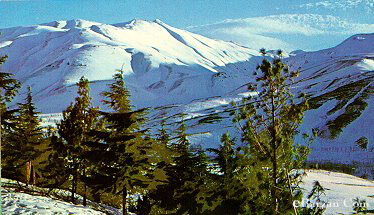 Kurdistan_110.jpg