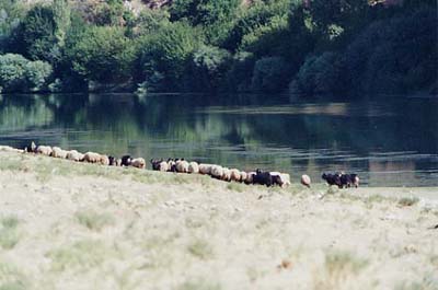 Kurdistan_133.jpg