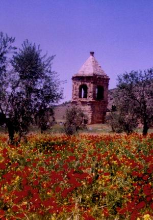 Kurdistan_86.jpg