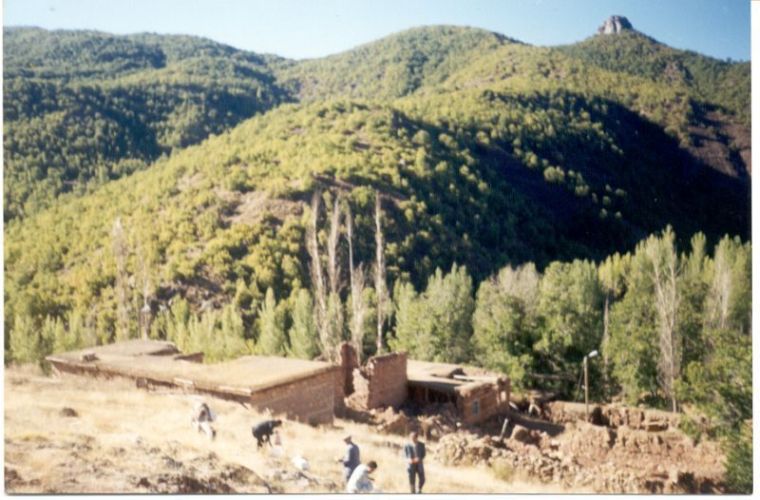 Muskinek_Hat_Bombekirin.jpg
