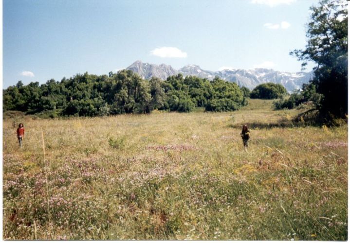 Tasiya Gurki.jpg
