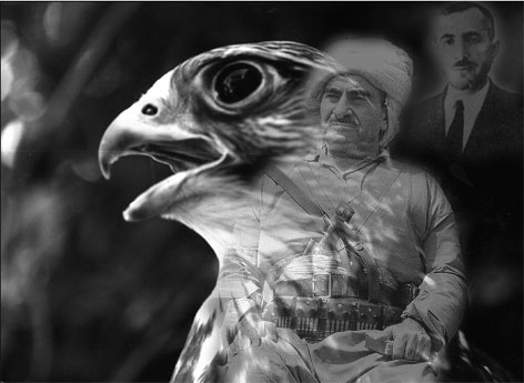 start_eagles_01.jpg