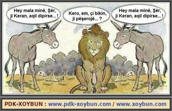 Sher_Kero_Em_Ci_Bikin_JI_Pesheroje_1.jpg