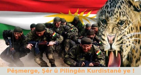 Peshmerge_Sheren_Kurdistane_1.jpg
