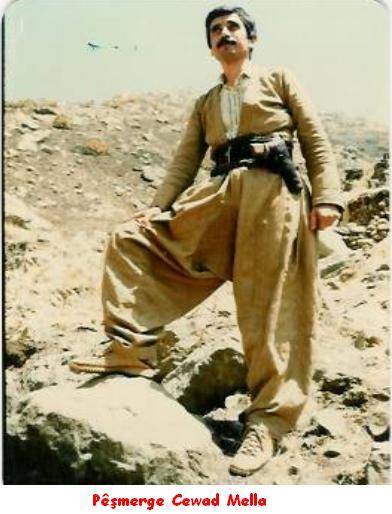 Cewad Mella_01.jpg
