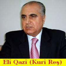 Eli_Qazi_Kuri_Res.jpg