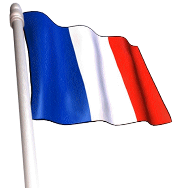 France_Flag_Animated_9.gif