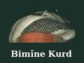 Kurd_Bimine_1.jpg